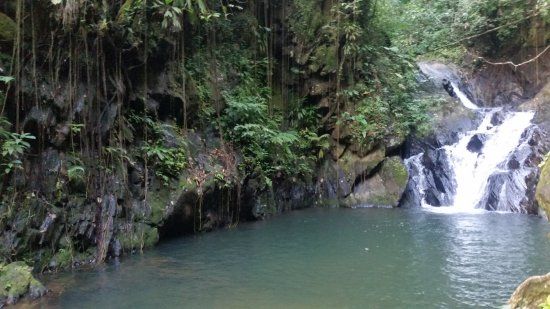 Billy Barquiedier National Park